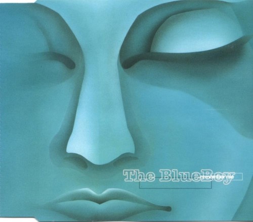 Blue boy remember - boy,